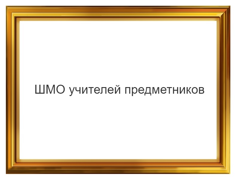 ШМО учителей предметников.